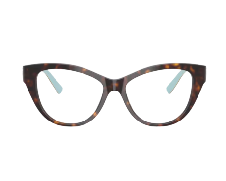 225483-Tiffany & Co Bril TF2251