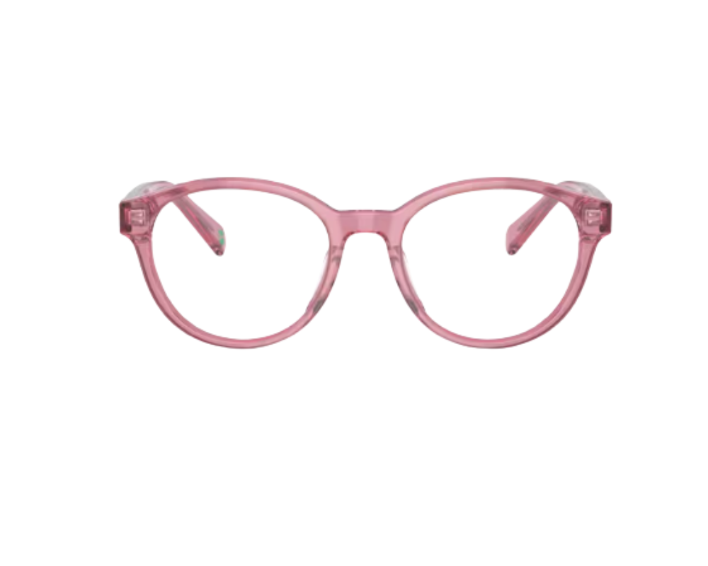 Lunettes de vue Polo Ralph Lauren PP8546U
