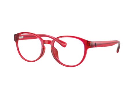225530-Polo Ralph Lauren PP8550U Bril