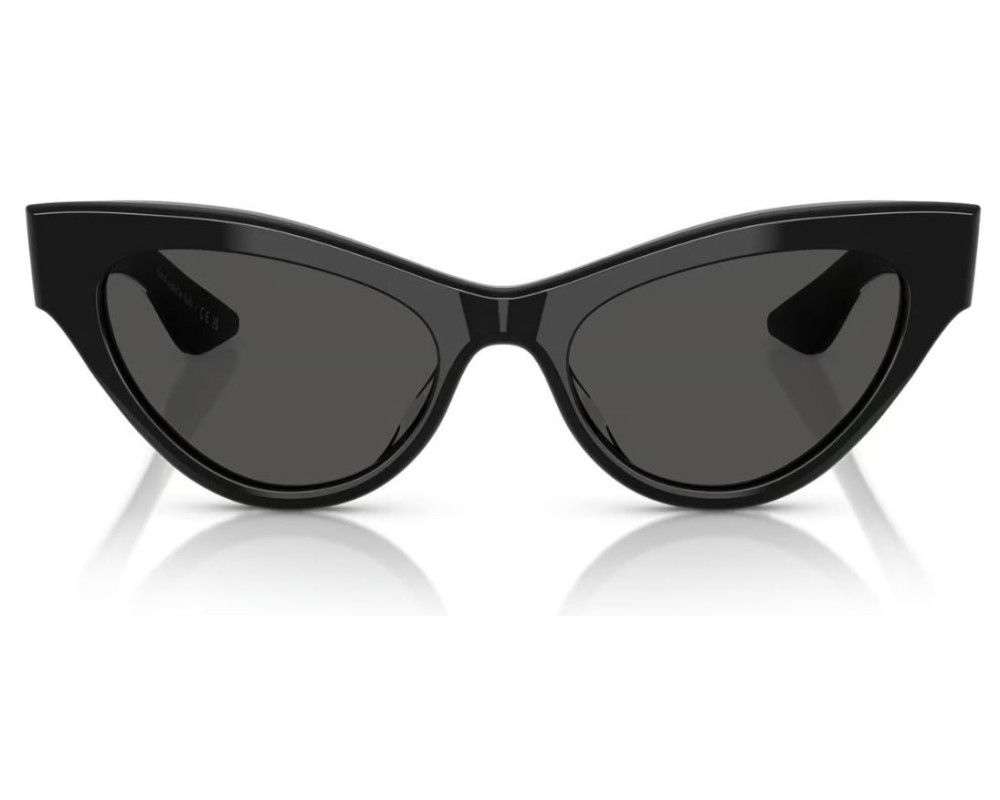 Lunettes de Soleil Oliver Peoples 1951C OV5573SU
