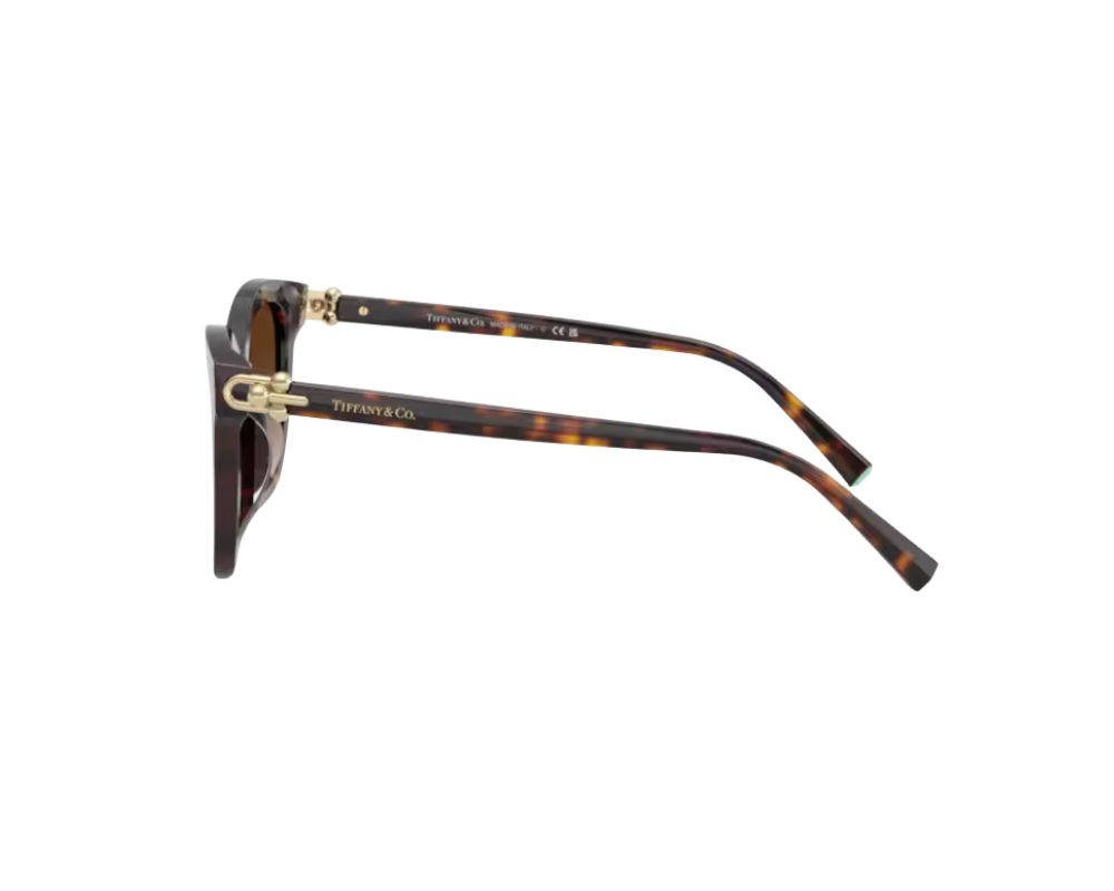 Lunettes de soleil Tiffany & Co TF4241D