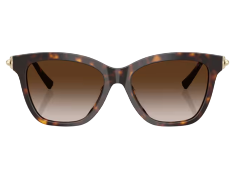 228001-Zonnebril Tiffany & Co TF4241D