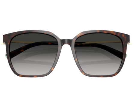 228515-Zonnebril Tiffany & Co TF4244D