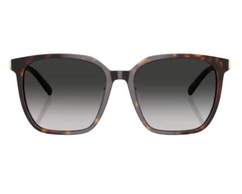 Zonnebril Tiffany & Co TF4244D