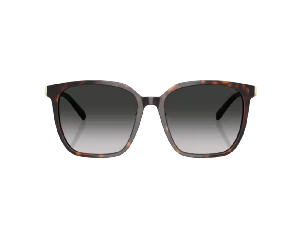 Zonnebril Tiffany & Co TF4244D