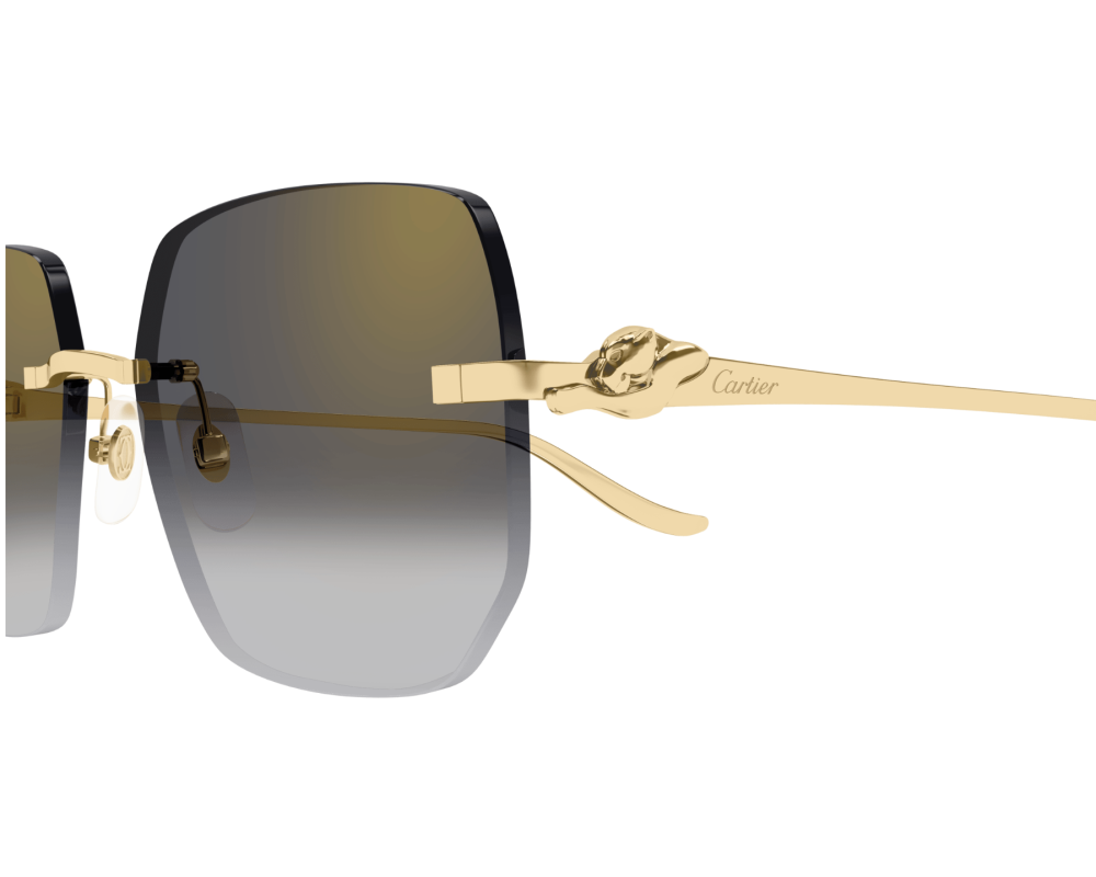 Lunettes de soleil Cartier Core Range CT0549S
