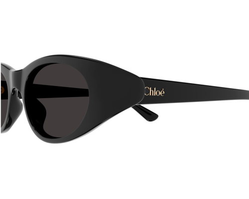 Zonnebril Chloé CH0279S