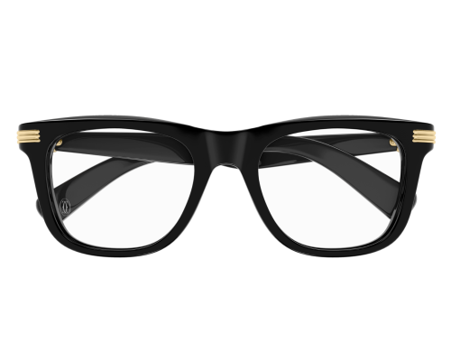 Bril Cartier Core Range CT0558O