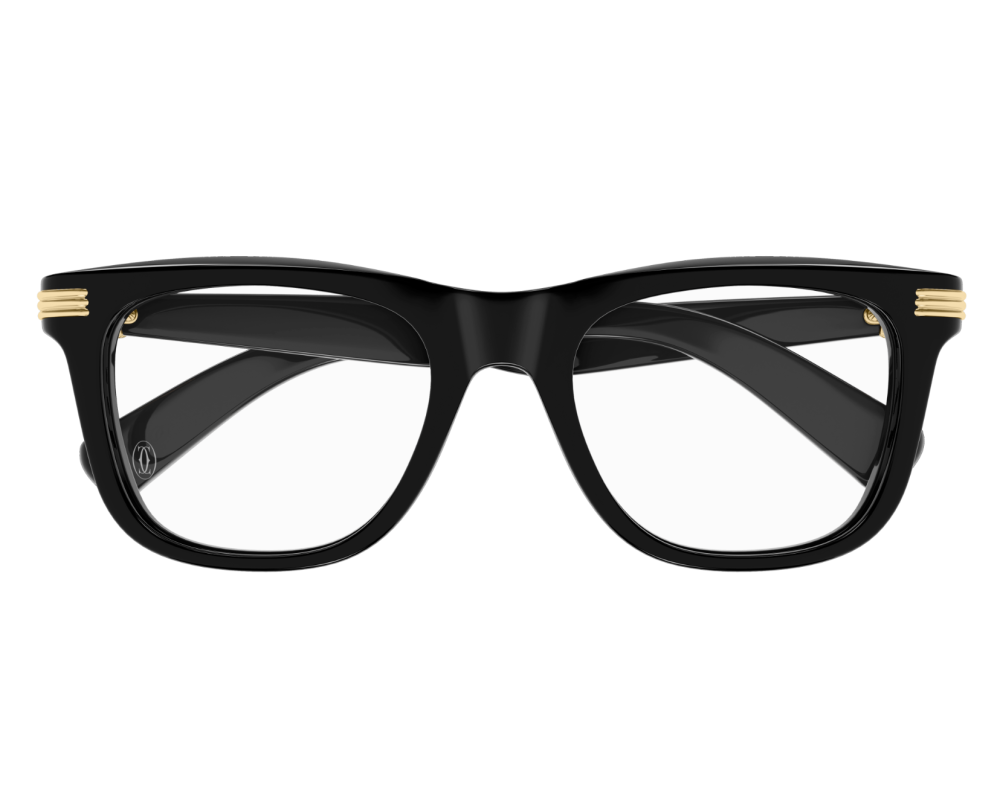Bril Cartier Core Range CT0558O