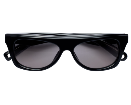235139-Jacquemus Pasadena Zonnebril