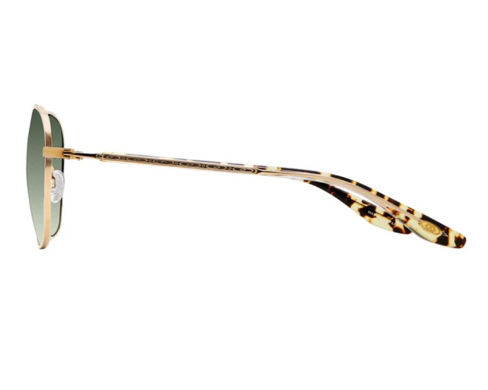 Lunettes de Soleil Barton Perreira SULLY