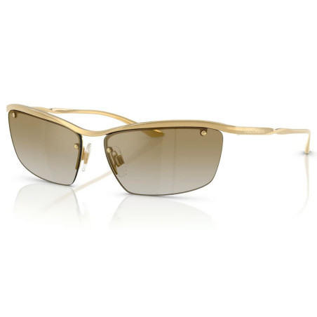 Dolce & Gabbana DG2307 Zonnebril