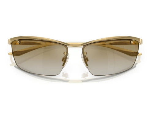 Dolce & Gabbana DG2307 Zonnebril