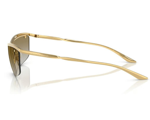 Dolce & Gabbana DG2307 Zonnebril