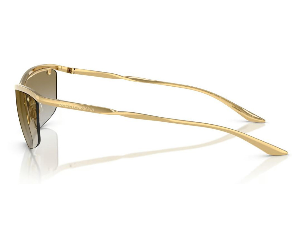 Dolce & Gabbana DG2307 Zonnebril