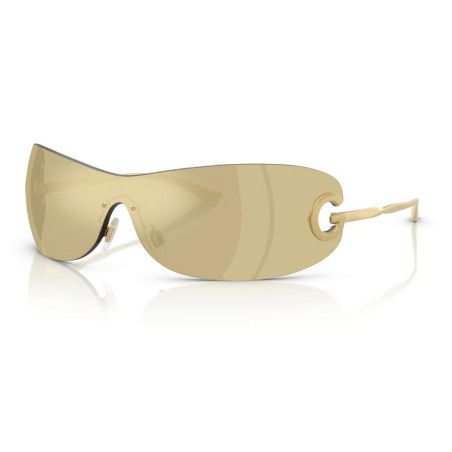 Lunettes de Soleil Dolce & Gabbana DG2308