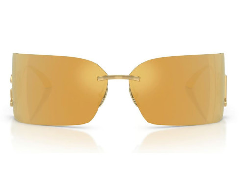 Dolce & Gabbana Zonnebril DG2319
