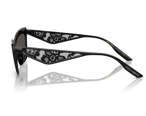 Dolce & Gabbana DG2311 Zonnebril