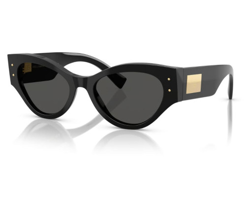 Dolce & Gabbana DG4480 Zonnebril