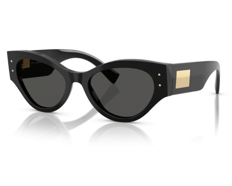 241201-Dolce & Gabbana DG4480 Zonnebril