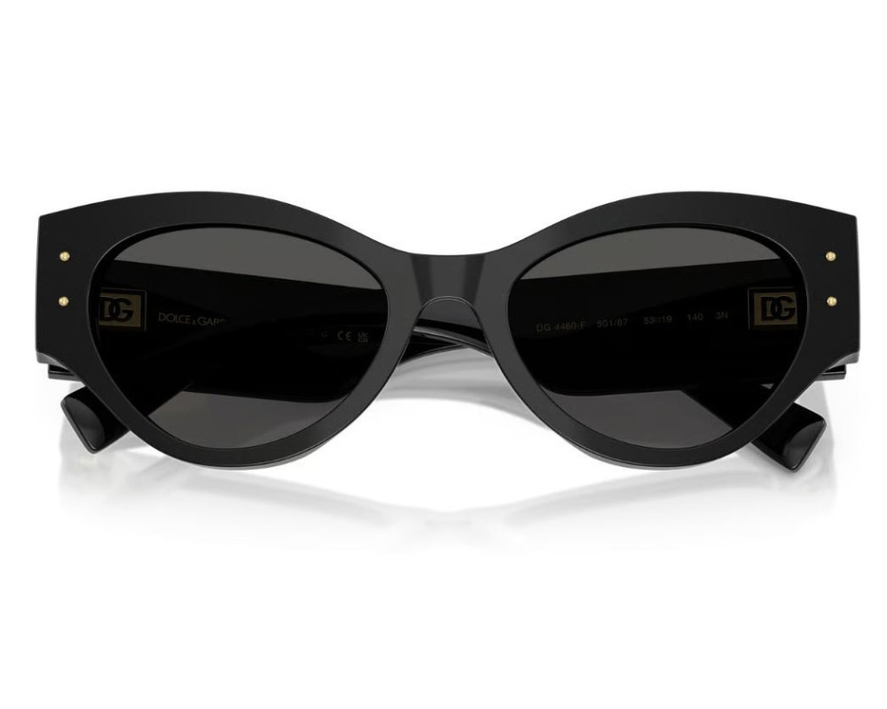 Lunettes de Soleil Dolce & Gabbana DG4480
