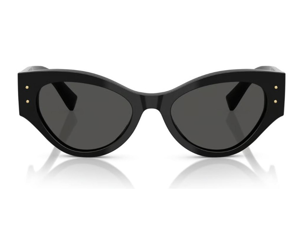 Lunettes de Soleil Dolce & Gabbana DG4480