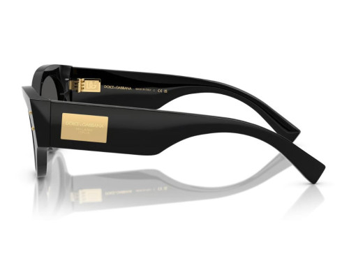 Dolce & Gabbana DG4480 Zonnebril