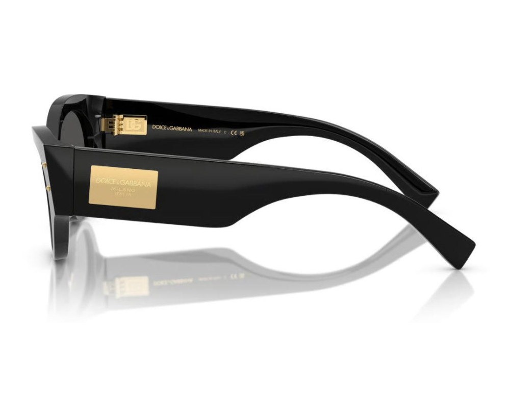 Dolce & Gabbana DG4480 Zonnebril