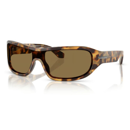 Lunettes de Soleil Dolce & Gabbana DG4486