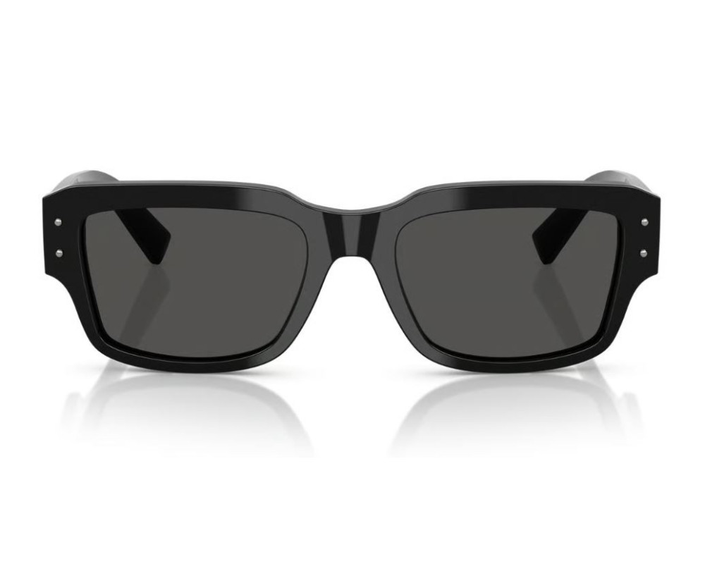 Dolce & Gabbana DG4483 Zonnebril