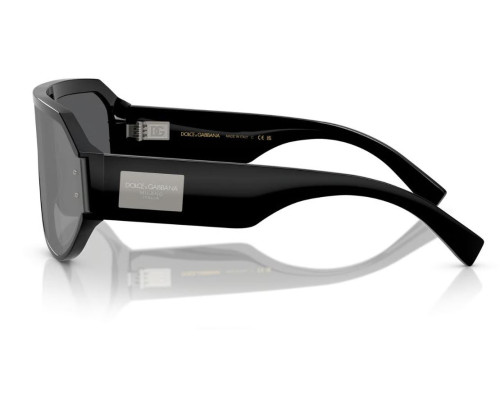 Dolce & Gabbana DG4481 Zonnebril