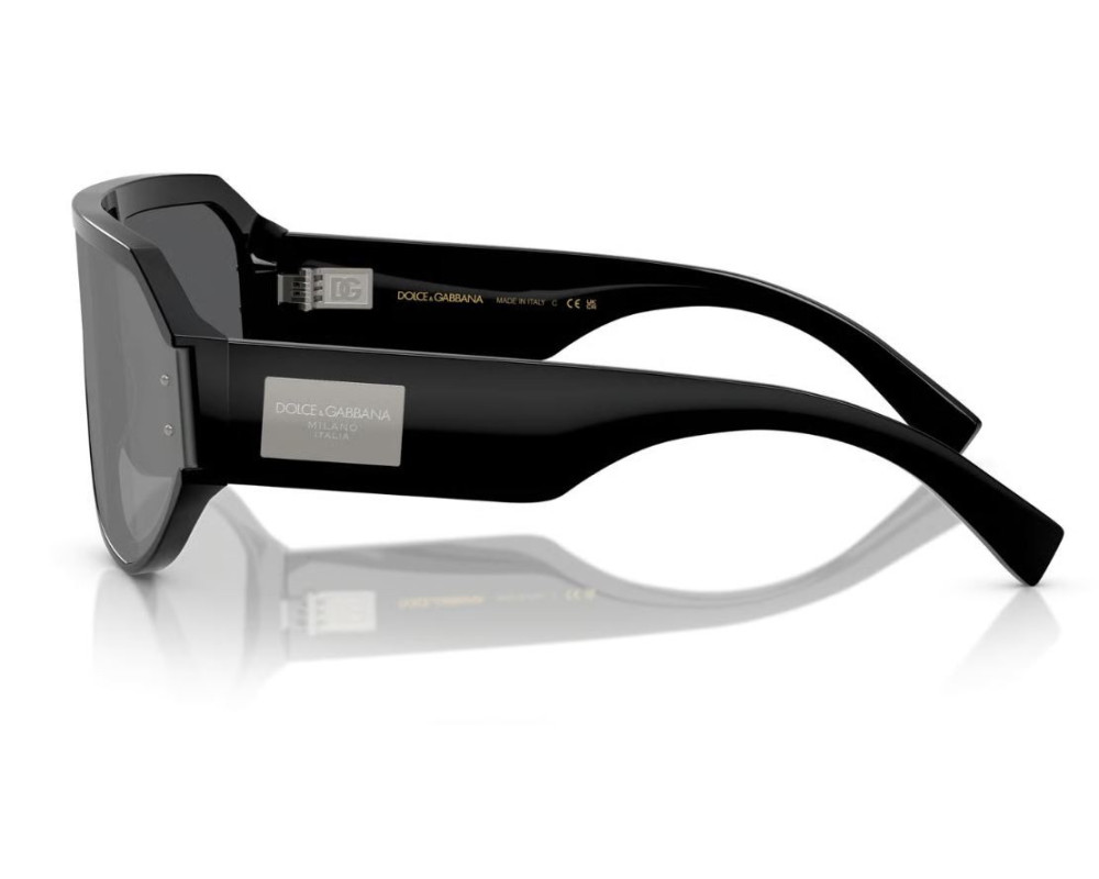Dolce & Gabbana DG4481 Zonnebril