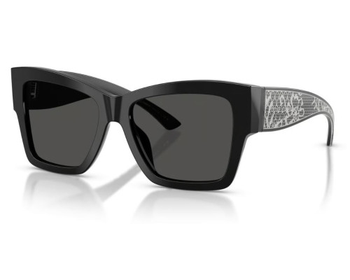 Lunettes de Soleil Dolce & Gabbana DG4493