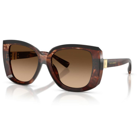 Lunettes de Soleil Dolce & Gabbana DG4495