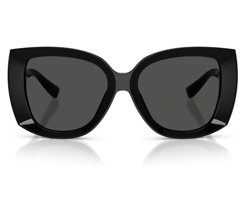 Dolce & Gabbana Zonnebril DG4495
