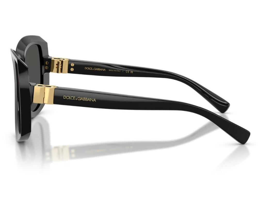 Dolce & Gabbana Zonnebril DG4495