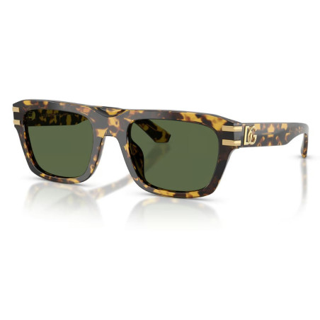 Dolce & Gabbana Zonnebril DG4496
