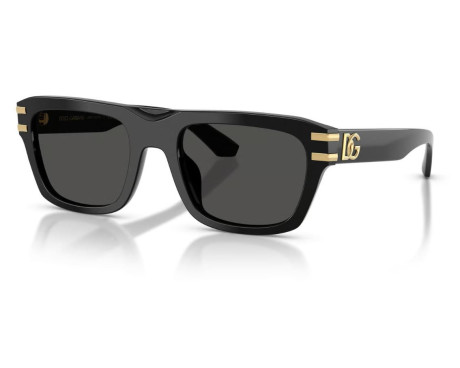241498-Dolce & Gabbana Zonnebril DG4496