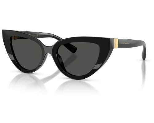 Dolce & Gabbana Zonnebril DG4497
