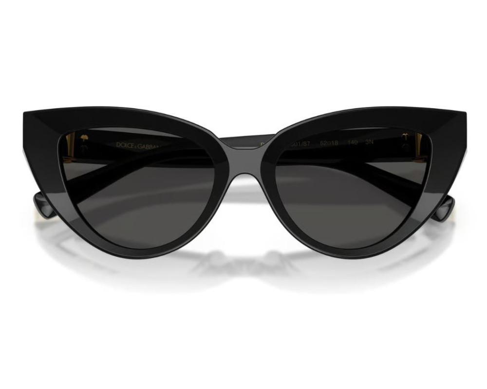 Dolce & Gabbana Zonnebril DG4497