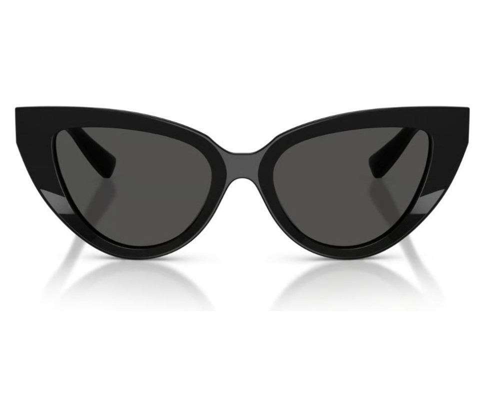 Lunettes de Soleil Dolce & Gabbana DG4497
