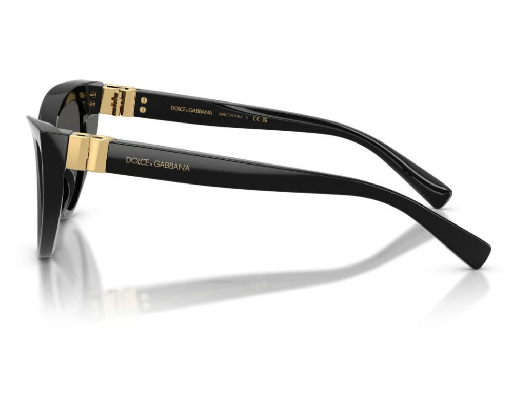 Dolce & Gabbana Zonnebril DG4497