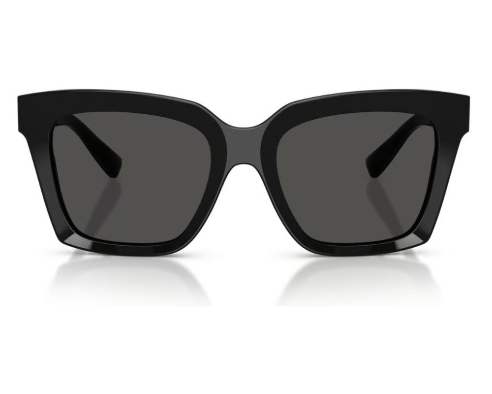 Lunettes de Soleil Dolce & Gabbana DG4498