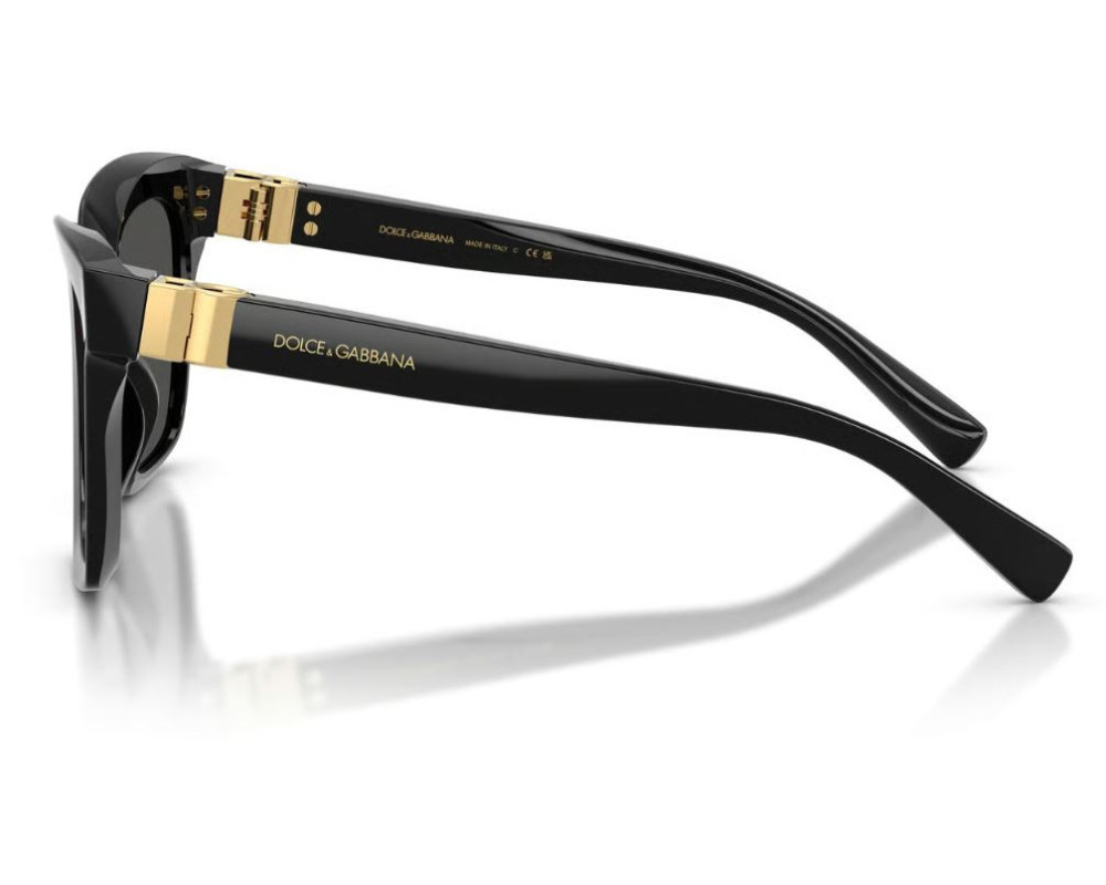 Dolce & Gabbana Zonnebril DG4498
