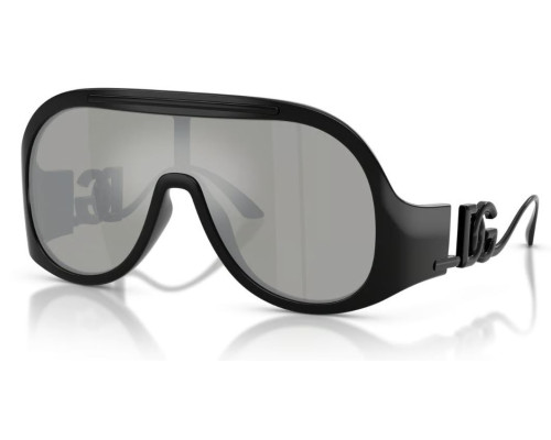 Dolce & Gabbana DG6202 Zonnebril