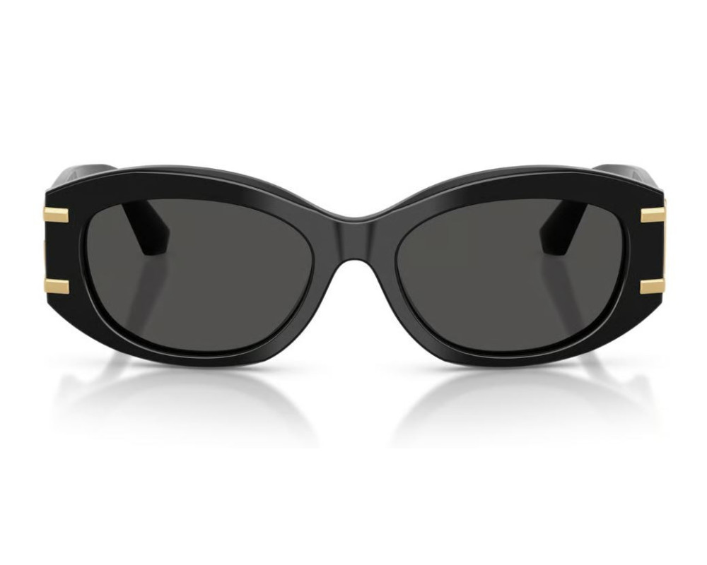 Lunettes de Soleil Dolce & Gabbana DG4502