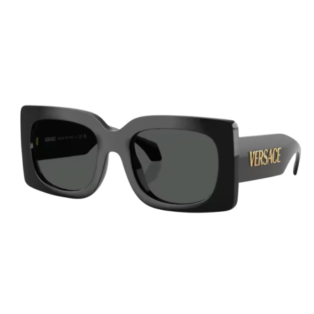 Versace VE4496U Zonnebril