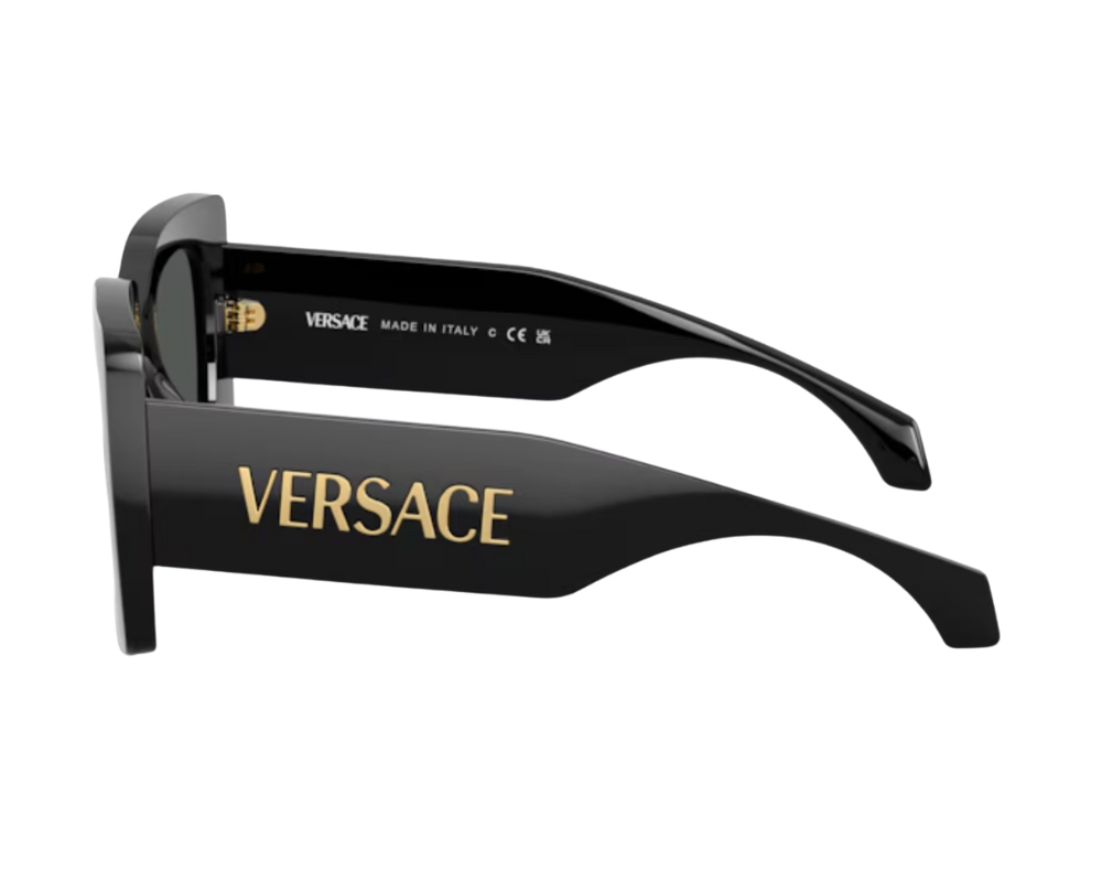 Versace VE4496U Zonnebril