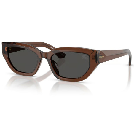 Lunettes de Soleil Burberry BE4463D