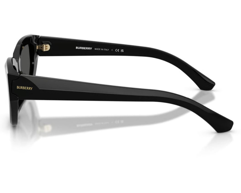 Lunettes de Soleil Burberry BE4463D